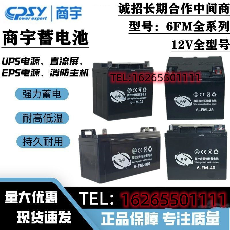 商宇FM/GW12100应急J1238备用电源/12V120AH7A17A20A24A65A蓄电池