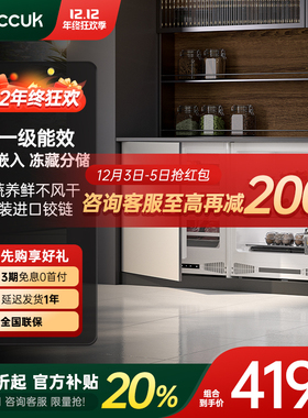 领厨台下嵌入卧式小冰箱对开门内嵌矮岛台家用橱柜一体隐藏小户型