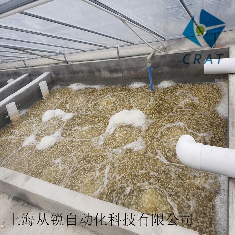 高效去除氨氮的设备、工厂化循环水养殖专用生物过滤箱和生物填料
