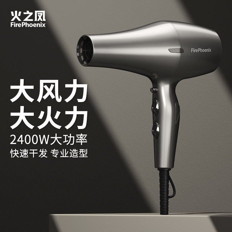 火之凤吹风机6200H发廊专用大功