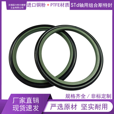 STd轴用斯特封进口铜粉+PTFE材质