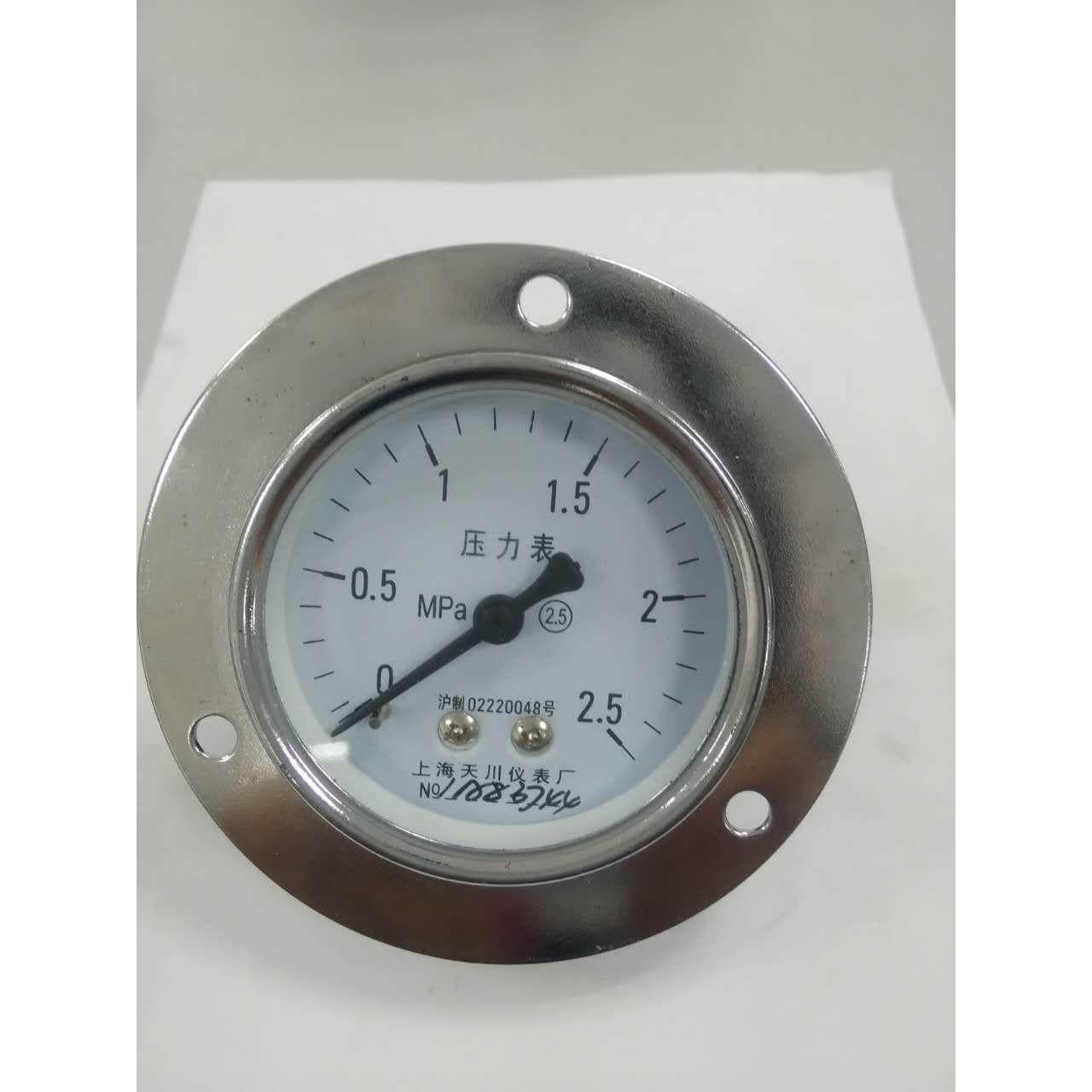 轴向压力表卧式侧装气压表 Y-60ZT带边面板水压 气压上海天川仪表