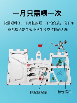 正品蚂蚁城堡蚂蚁工坊送收获蚁后学生观察生态箱蚁巢室屋庄园家园