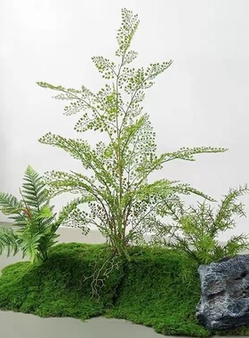 仿真绿植苔藓假植物微景观布置装饰室内青苔造景组合橱窗落地摆件