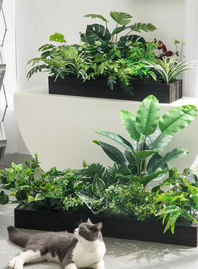 造景橱窗绿植仿真花造景MIZ