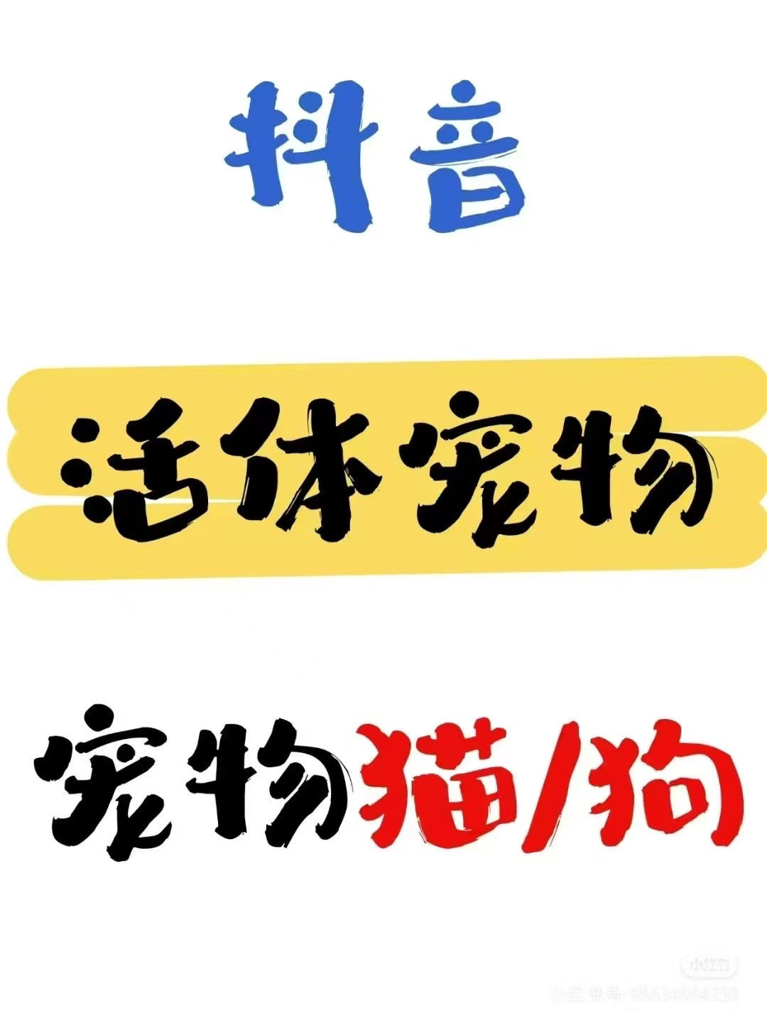 抖音小店报白宠物活体猫狗鹦鹉兔子观赏鱼直播权限开通邀约入驻