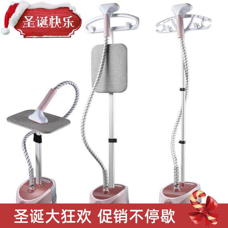 electric compact iron steam soleplate clothes steamer 电熨斗