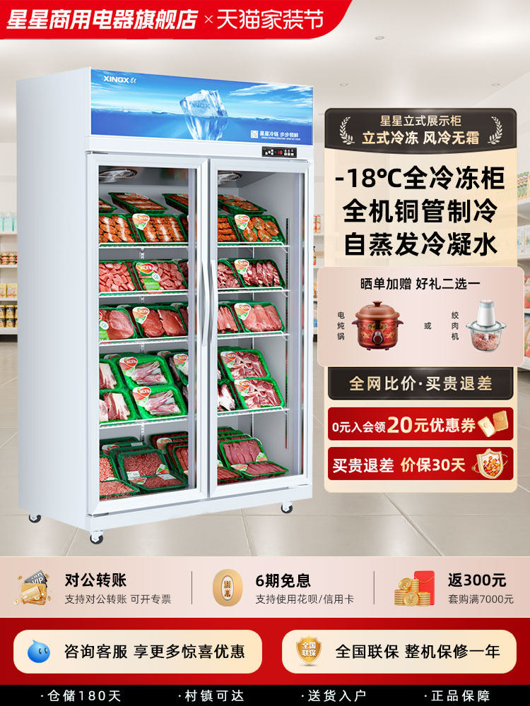 星星全冷冻展示柜商用立柜超市肉类急冻冰柜低温保鲜柜立式冰柜