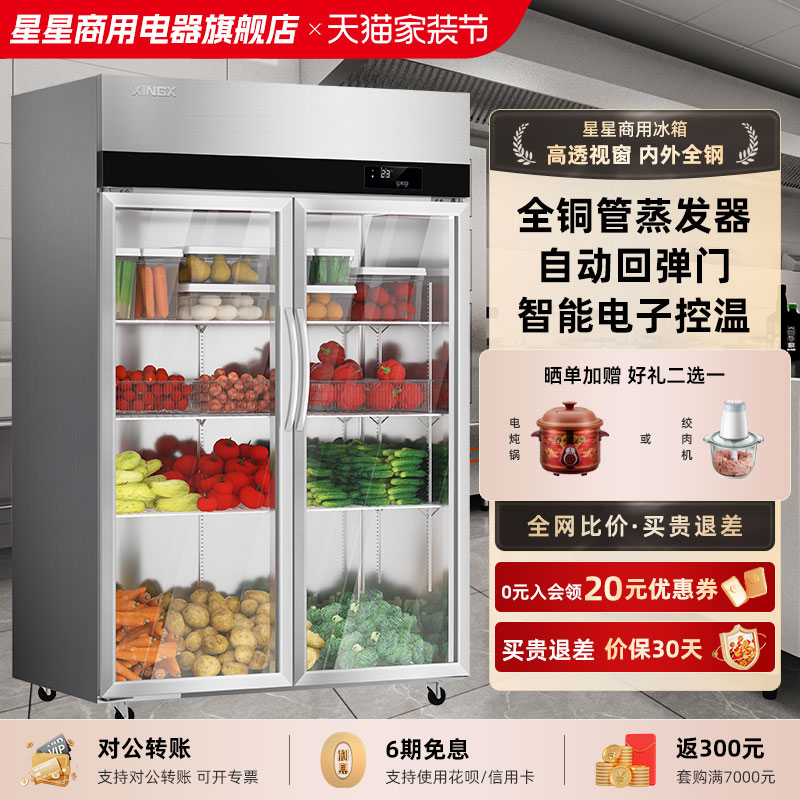 星星展示柜商用冷藏蔬菜保鲜柜