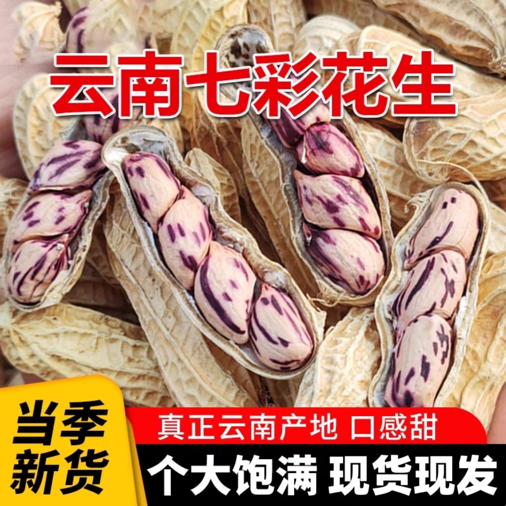 2025新货云南七彩花生带壳咸干味云南特产五彩花生紫色盛兴源花生