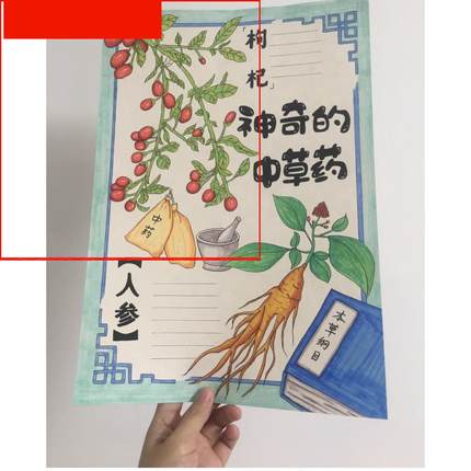 神奇的中草药手抄报模板简单可打印手绘小学生绘画可爱黑白竖版