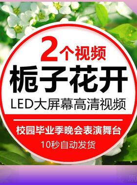 栀子花开舞蹈配乐校园毕业季晚会节目表演LED大屏幕视频背景素材