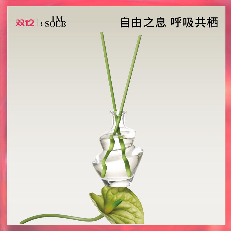 IMSOLE不定所无火香薰