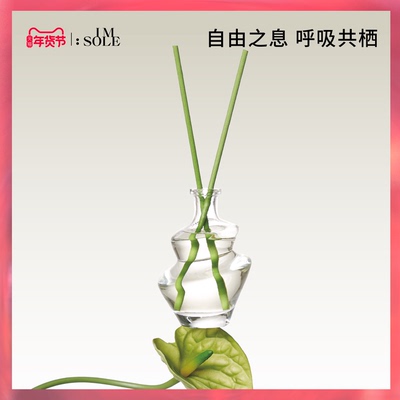 IMSOLE不定所无火香薰