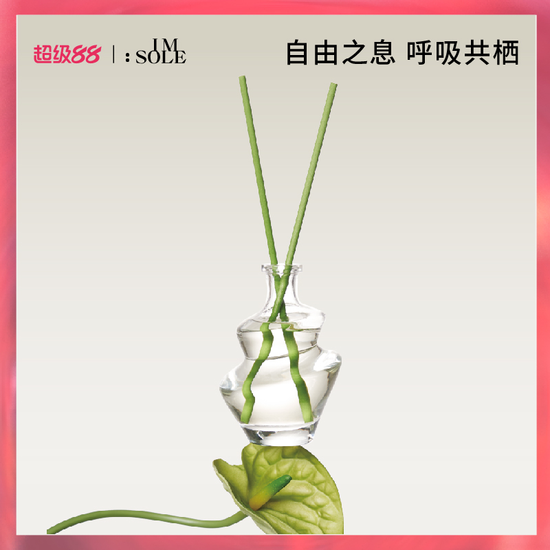 IMSOLE不定所无火香薰