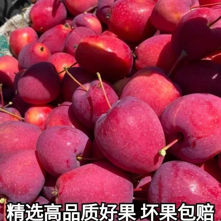正宗鸡心果新鲜东北酸甜小苹果海棠嘎啦果孕妇水果小沙果锦绣现摘