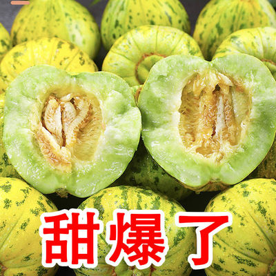 香瓜甜瓜东北新鲜八里香吉林老品种土香瓜应季水果大瓜脆甜蜜瓜