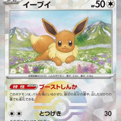 日版宝可梦PTCG卡牌精灵球闪