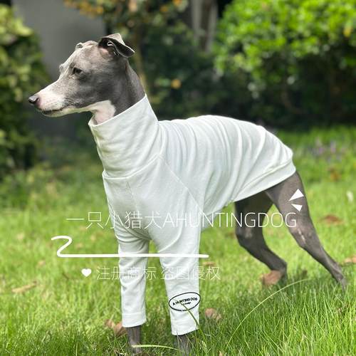 一只小猎犬简约纯棉T恤打底衫高弹力意大利小灵缇惠比特衣服