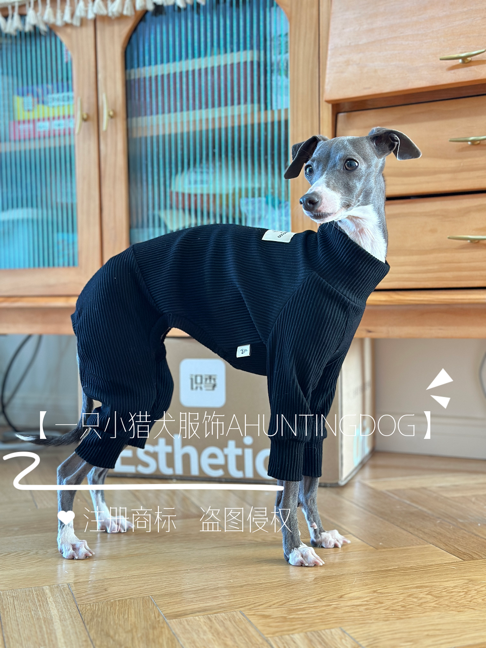 秋冬款纯棉中领四脚衣防静电小灵缇惠比特细狗贝灵顿犬衣服