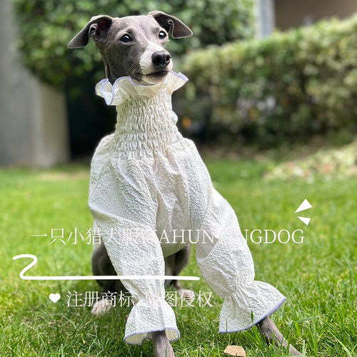 意大利小灵缇夏款公主泡泡裙防晒面料惠比特衣服