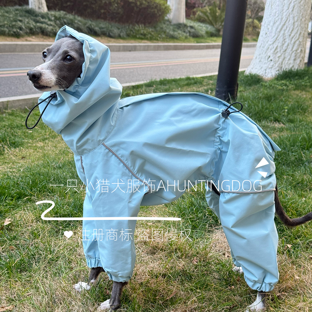 一只小猎犬强防泼水冲锋衣防水雨衣意大利小灵缇惠比特衣服