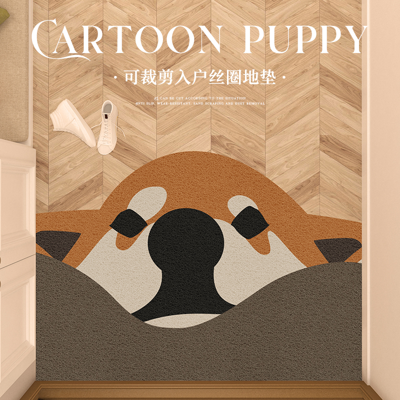 丝圈地垫入户门垫家用蹭土耐磨地垫玄关进门地毯耐脏大门脚垫子