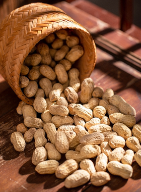 咸酥龙岩湿烤花生农家自制福建特产带壳水煮香脆下酒菜办公室零食