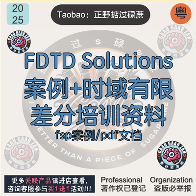 FDTD Solutions时域有限差分光源谐振腔波导光子学培训案例资料集