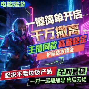 三角洲行动PC端游辅助视觉物资价格明主播同款过磐石玄武稳定中