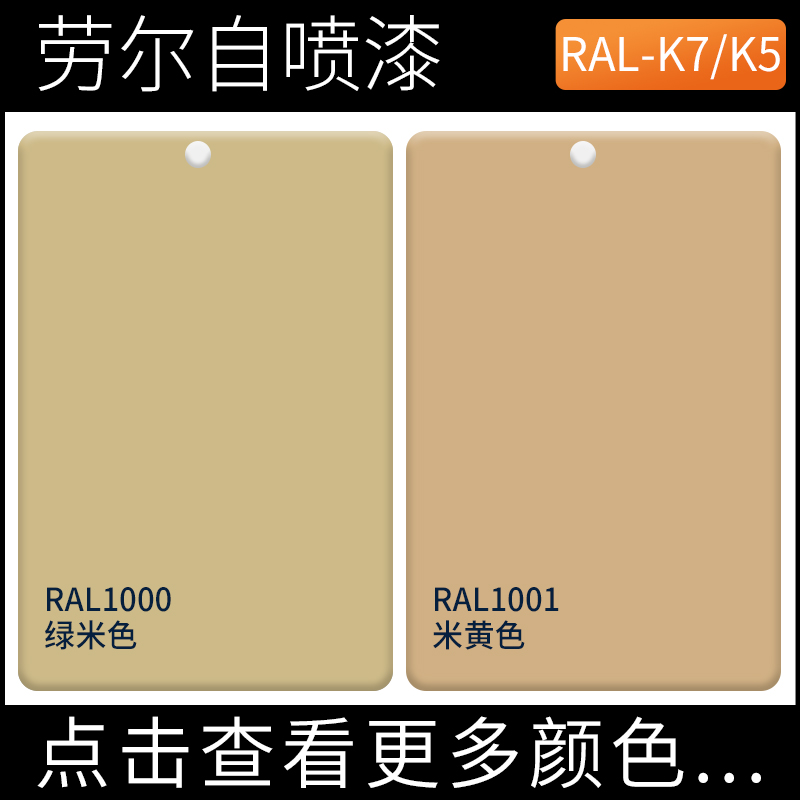 标准RAK-K5色卡防锈防腐自喷漆