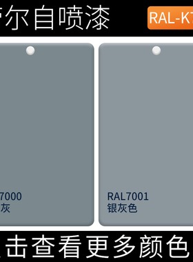 漆先生劳尔RAL7000松鼠灰ral7001银灰色金属漆机柜翻新涂鸦自喷漆