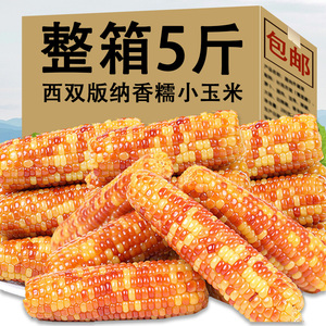 云南西双版纳香糯小玉米5斤新鲜花糯甜糯玉米棒真空开袋即食早餐