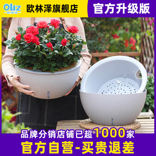 懒人自吸水绿萝多肉兰花花盆盆栽