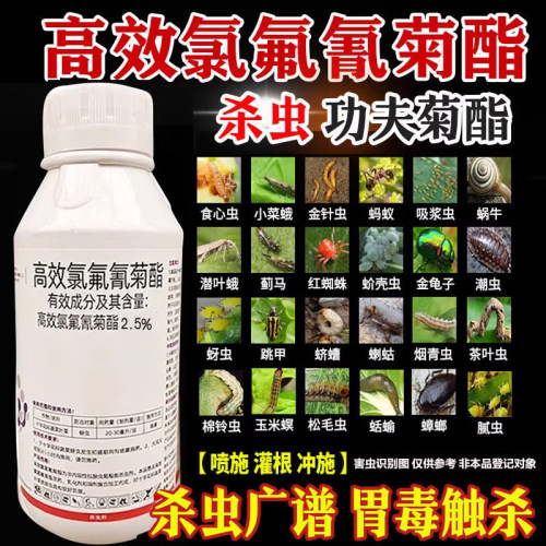 虫卵双杀高效氯氟氰菊酯杀虫剂