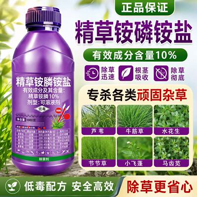 精草铵磷铵盐除草剂杂草