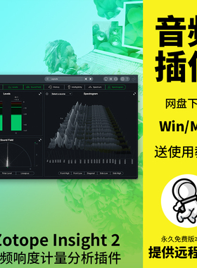 iZotope Insight 2音频响度计量频谱分析插件后期制作监测Win/Mac