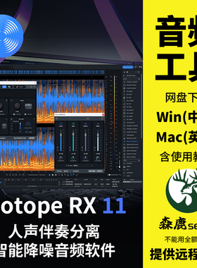 iZotope RX11 人声伴奏分离降噪软件音频修复插件Win中文/Mac