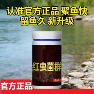 红虫菌群诱鱼剂小药添加剂诱食剂钓鱼饵料窝料野钓黑坑秋冬