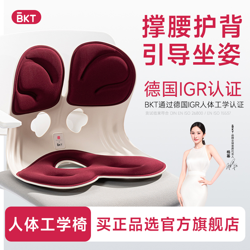 AGR人体工学认证【塑端庄姿态】