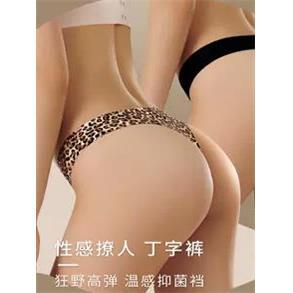 Seamless Underwear Ladies Women& Panties Leopard Femal 39;