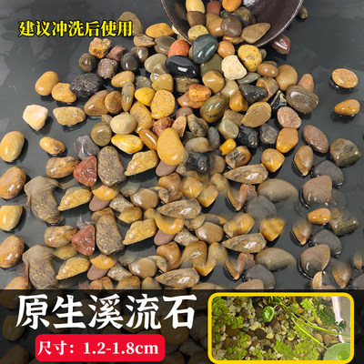 厂地暖回填豆石沼泽过滤碎石雨花石原石天然鹅卵石小石子鱼缸造促