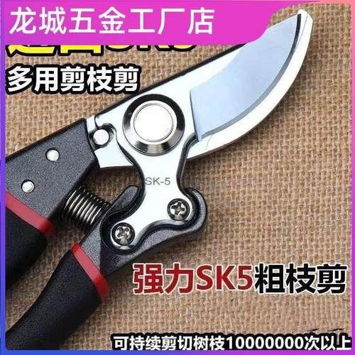 德国精工剪树枝专用剪刀园艺果树修枝剪sk5粗枝修花省力剪子园林