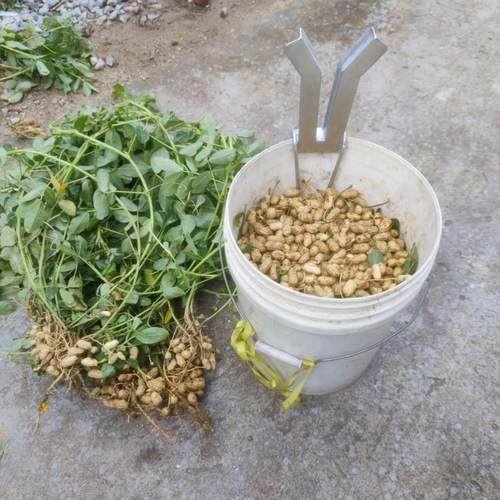 脱花生神器摘拔2023新款拔花生神器农用工具花生脱粒器采摘夹子