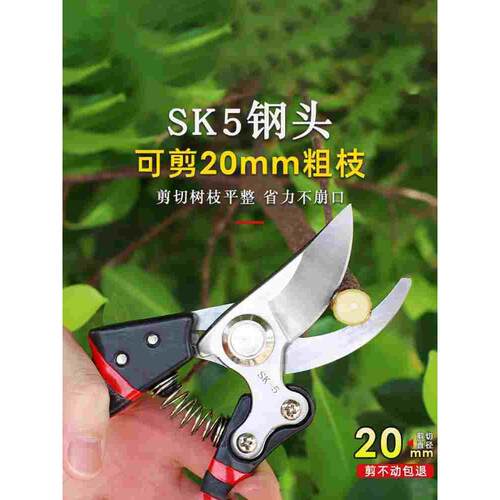 德国精工sk5省力修枝树枝大号果树剪粗枝剪家用园林剪强力花木剪