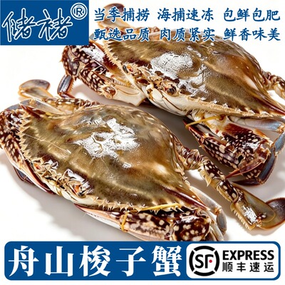【保鲜不保活】浙江舟山梭子蟹