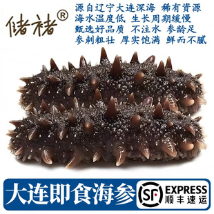 【精选】即食海参 大连海参 底播辽刺参高端海鲜水产年货团购礼盒