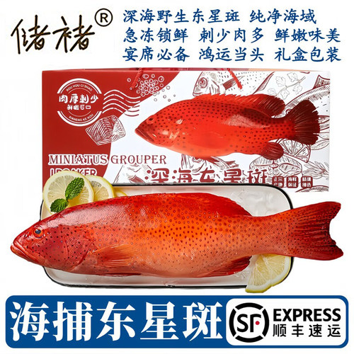 舟山海捕东星斑年货礼盒装
