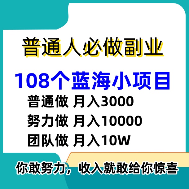 蓝海项目创业副业冷门小成本创业项目资料108创业低成本项目创业