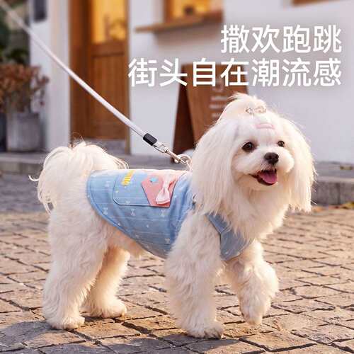 秋冬宠物服饰牛仔牵引马甲打底中小型犬猫咪狗狗衣服比熊泰迪